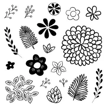 Floral and Leaf Elements Set Illustrazione stock
