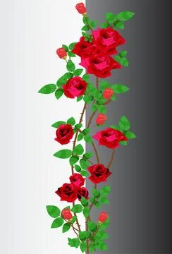 Floral arrangement, Illustrazione stock