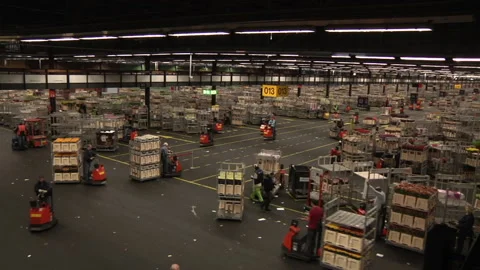 Floral Aution Video stock 136211053