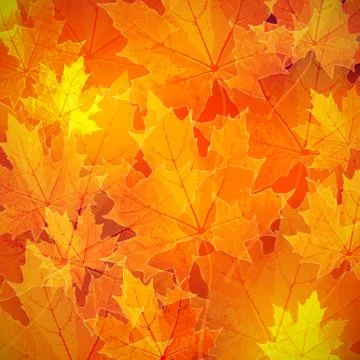 Floral autumn (fall) background with maple leaves Stock Illustration