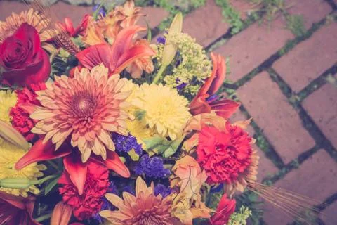 Floral Backdrop Stock Photos
