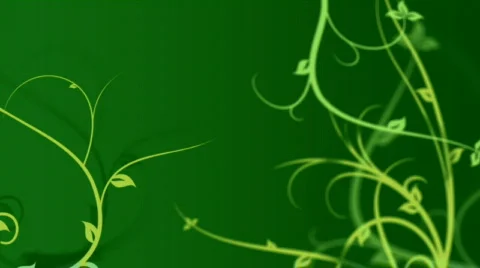 Floral background animation Stock Footage