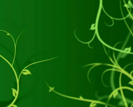 Floral background animation Video stock 292367