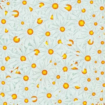 Floral background, daisies. Stock Illustration