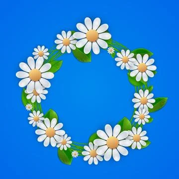 Floral background with daisy, Ilustração Stock