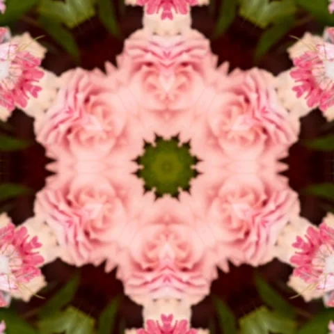 Floral background design pattern concept,Seamless geometry Circle Kaleidoscope Stock Footage 227527652