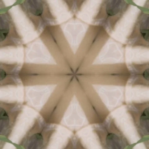 Floral background design pattern concept,Seamless geometry Circle Kaleidoscope Stock Footage 227528378