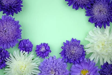 Floral background with empty place for text. Stock Photos