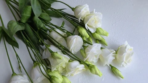 Floral background of eustoma on white background. Romantic, wedding background. Video stock 308514460