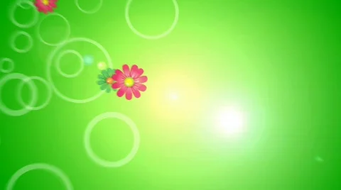 Floral background Stock Footage 659544