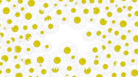 Floral background Video stock 75969380