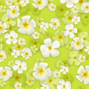 Floral background Illustrazione stock