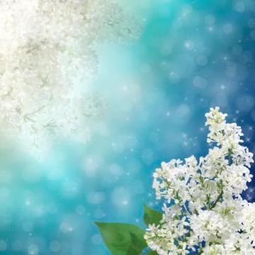 Floral background Stock Illustration