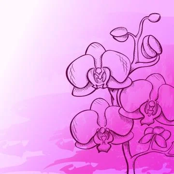 Floral background Stock Illustration