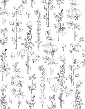 Floral background Stock Illustration