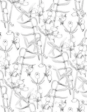 Floral background Stock Illustration