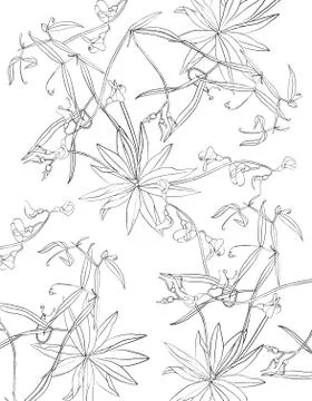 Floral background Stock Illustration
