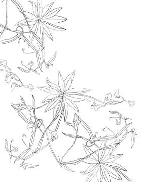 Floral background Stock Illustration