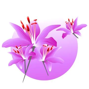 Floral background Stock-Illustration