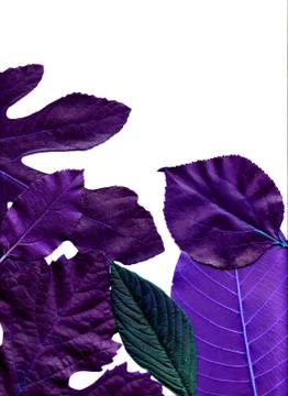 Floral background Stock Illustration