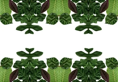 Floral background Stock Illustration