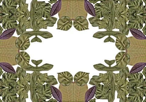 Floral background Stock Illustration