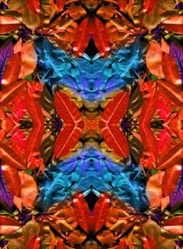 Floral background Stock-Illustration