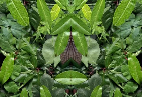 Floral background Stock-Illustration