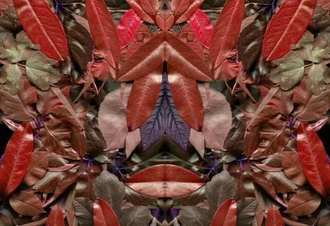 Floral background Stock Illustration