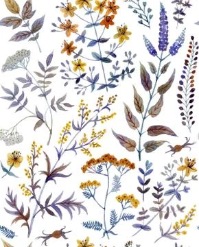 Floral background Stock Illustration