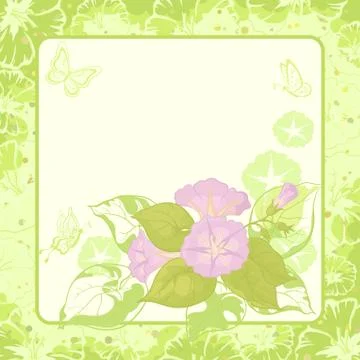 Floral background, ipomoea Stock-Illustration