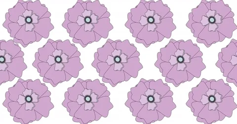 Floral background with moving hand drawn pink flowers, white background seamless Stock Footage 82543031