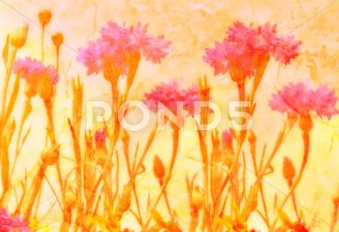 Floral background Stock Photos