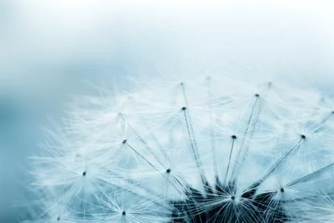 Floral background Stock Photos