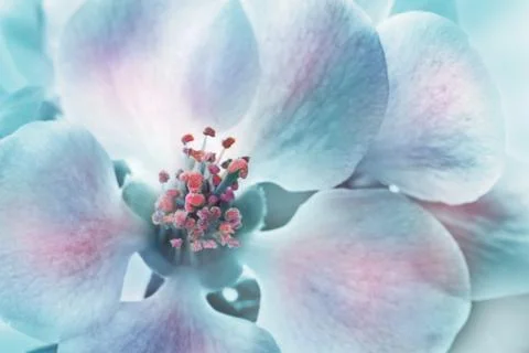Floral background Stock Photos
