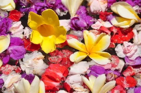 Floral background Stock Photos