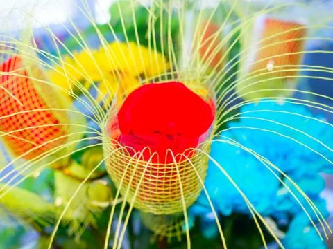 Floral background. Foto stock