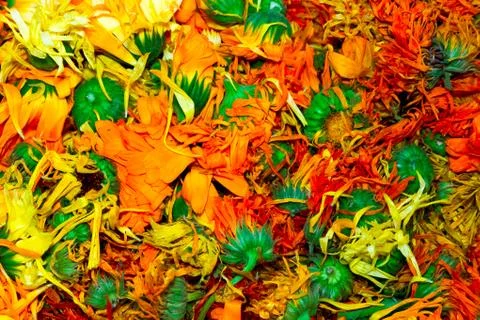Floral background. Stock Photos