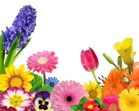Floral background  Stock Photos