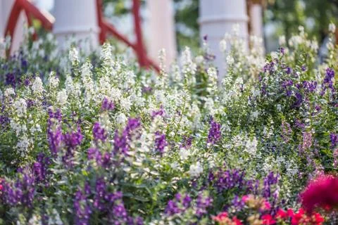 Floral background Stock Photos