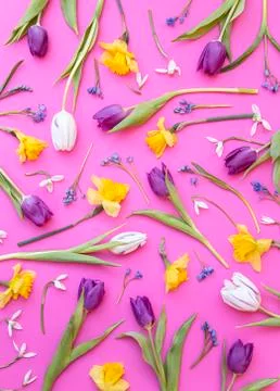 Floral background 库存照片