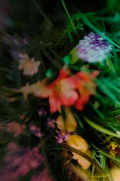 Floral background Stock Photos