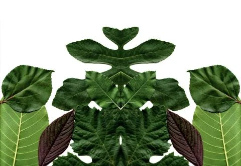 Floral background Stock Photos