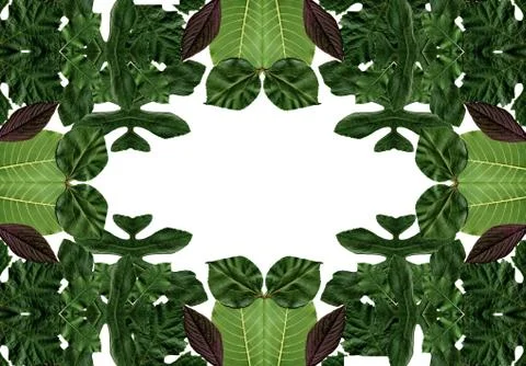 Floral background Stock Photos