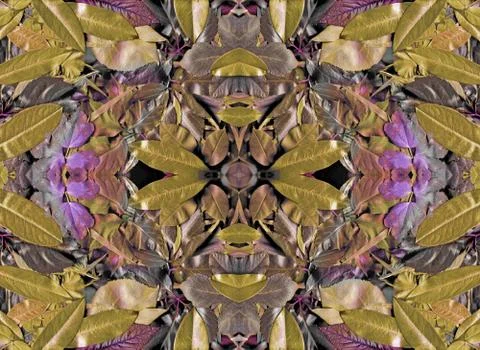 Floral background Stock Photos