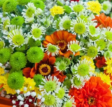 Floral background Stock Photos