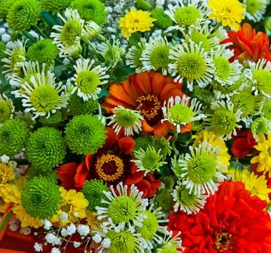 Floral background Foto stock