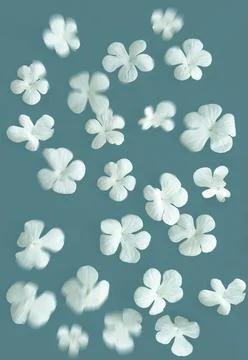 Floral background Foto stock