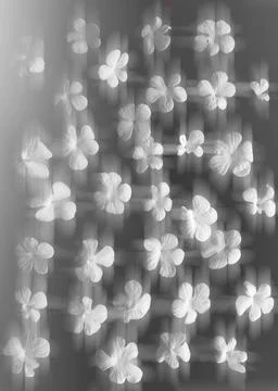 Floral background Stock Photos