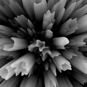 Floral background Stock Photos